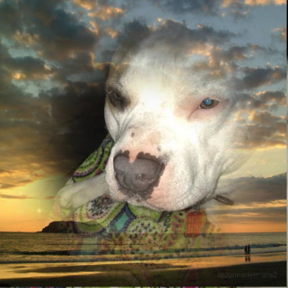 Meet your Posher, Theresa